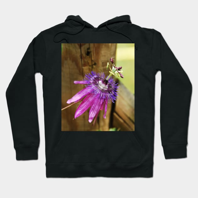 Lavender Lady Passiflora Hoodie by jojobob